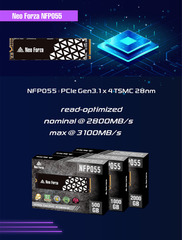 ổ cứng sdd neo forza m2 2280