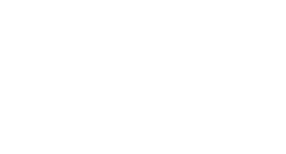 logo eavn white