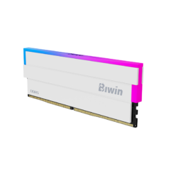 ram dd5 biwin black opal dw100 rgb 8400tm/s