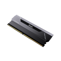 ram ddr5 biwin black opal hx100 overclocking heatsink