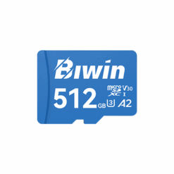 biwin ms210