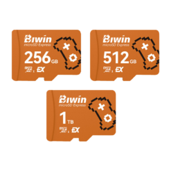 biwin me300